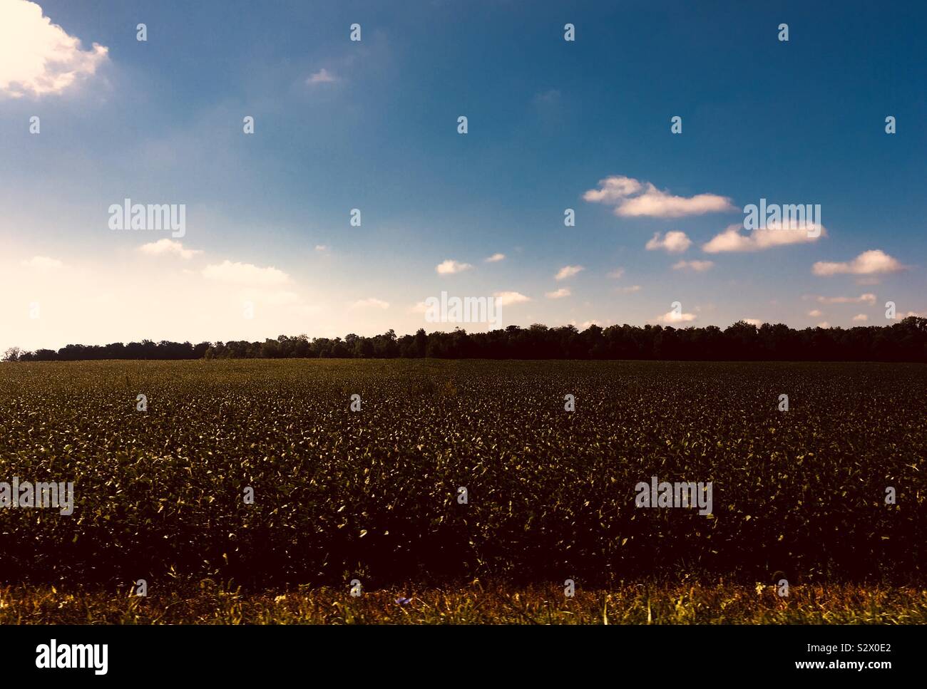 Schaut einfach aber es ist Wunderschön gleichzeitig.... Land&Sky. Stockfoto