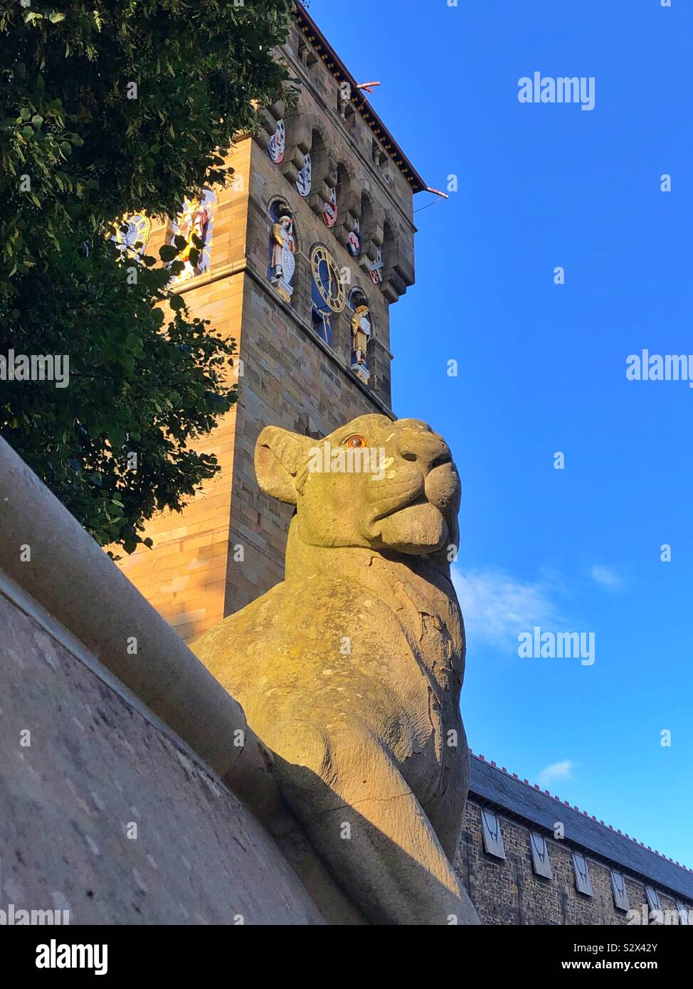 Steinernen Löwen an der Wand von Cardiff Castle mit dem Clock Tower hinter sich. Stockfoto