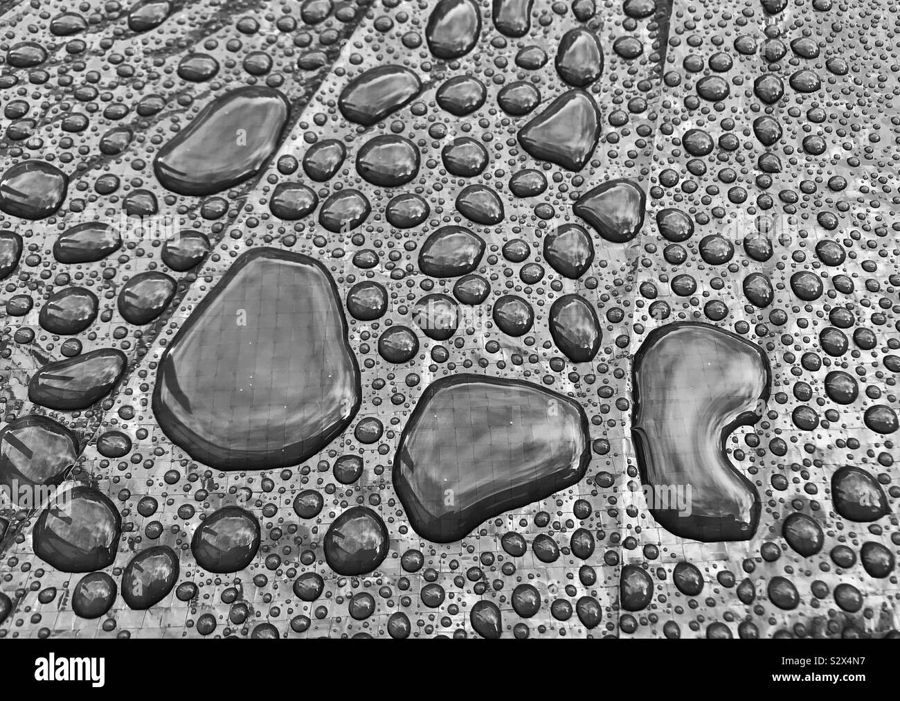 Globuli von Wasser auf einer glänzenden Oberfläche nach einem heftigen Regenschauer Stockfoto