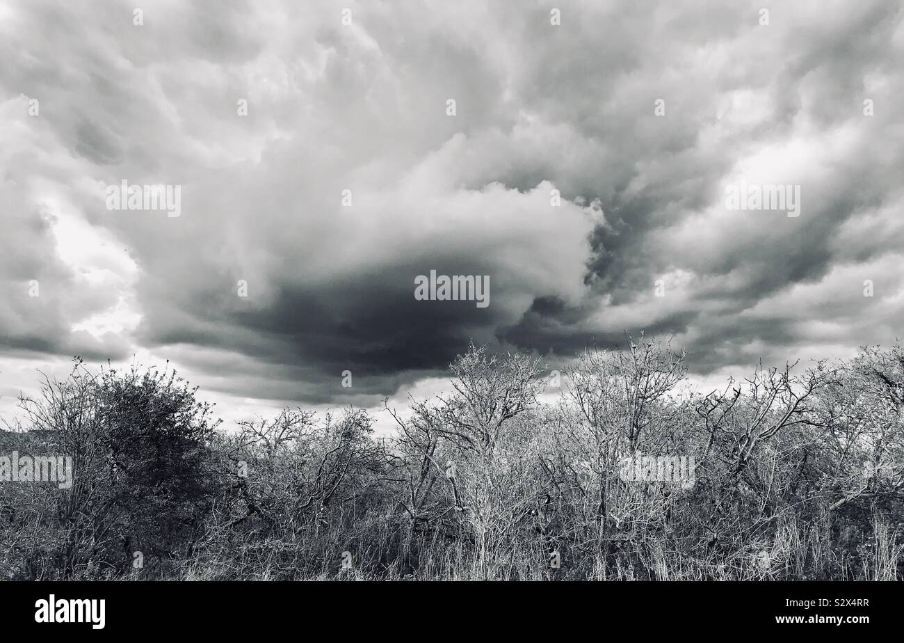 Regenwolken über den South Downs von Sussex, England Stockfoto
