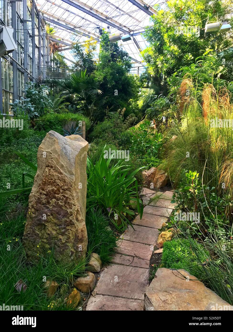 Hortus botanicus niederlande Fotos und Bildmaterial in hoher