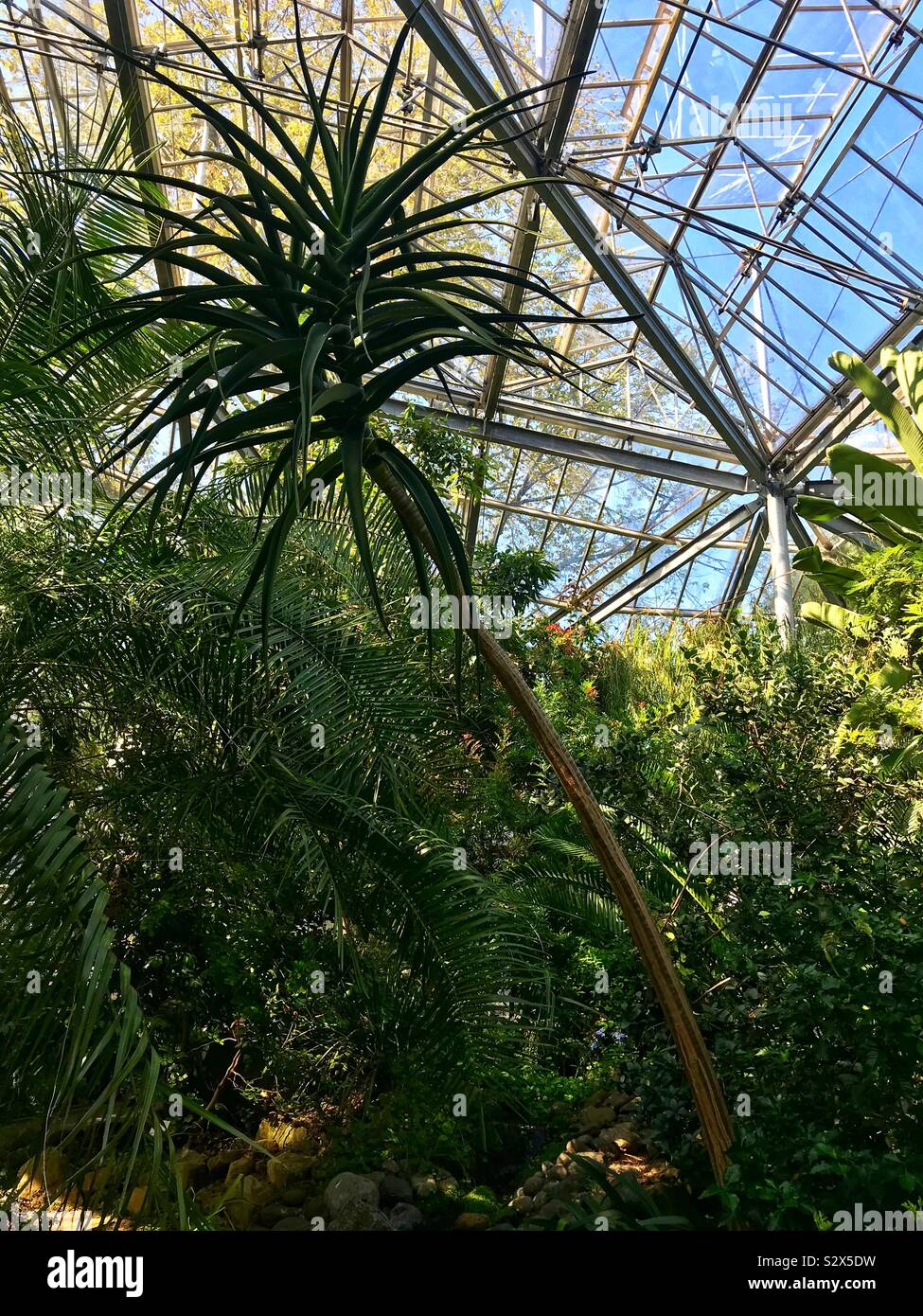 Hortus botanicus Botanischer garten Amsterdam - Smartphone-aufgenommenes Stockfoto