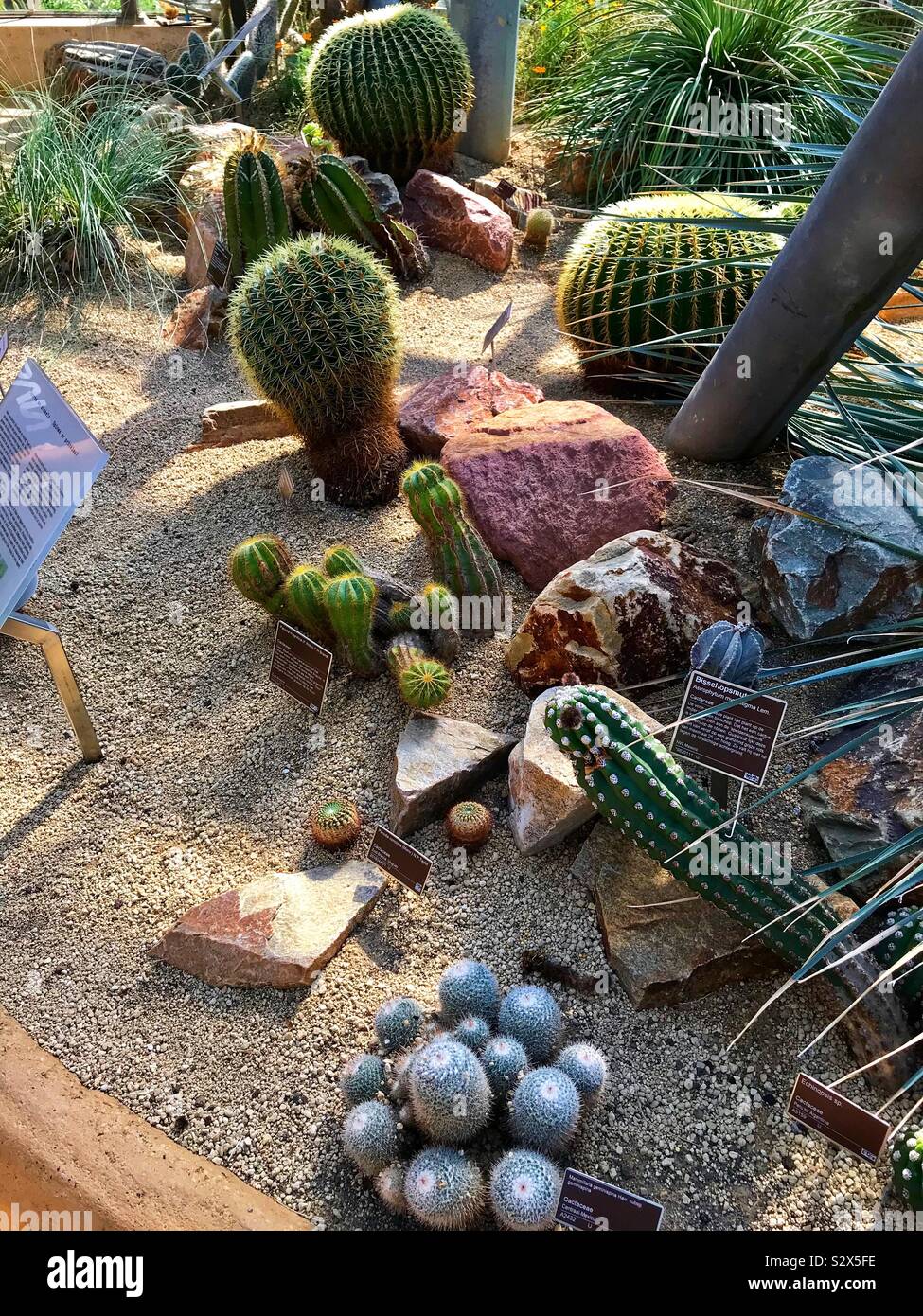 Hortus botanicus Botanischer garten Amsterdam - Smartphone-aufgenommenes Stockfoto