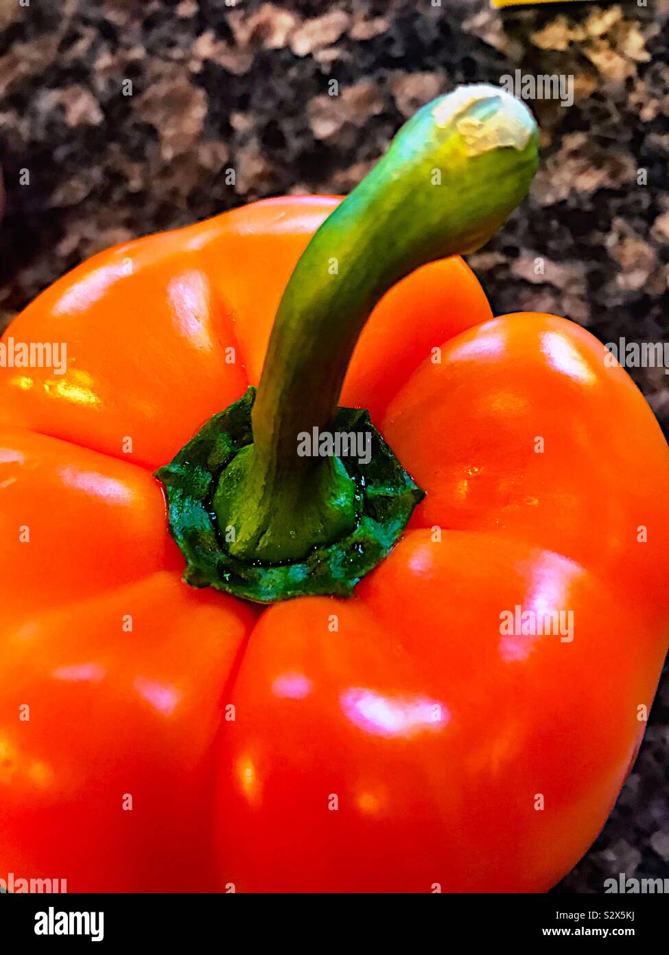 Orange Paprika mit grünem Stiel, close-up Stockfoto