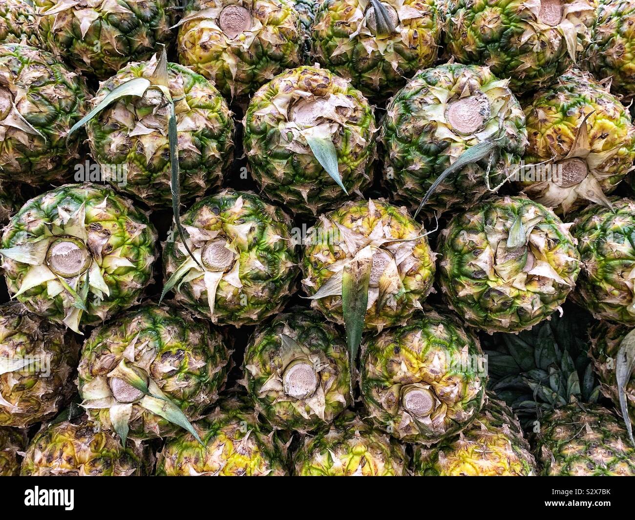 Viele reife Ananas zum Verkauf gestapelt. - Smartphone-aufgenommenes Stockfoto