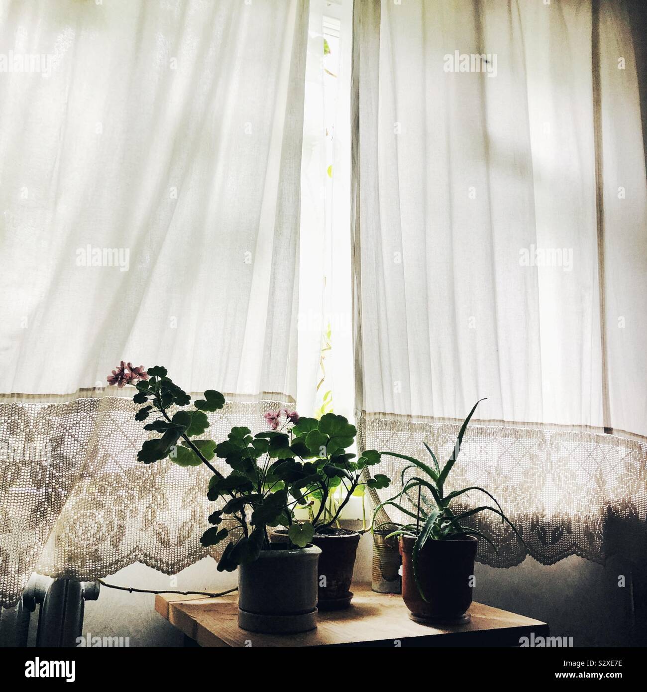 Traute Heim Stockfoto