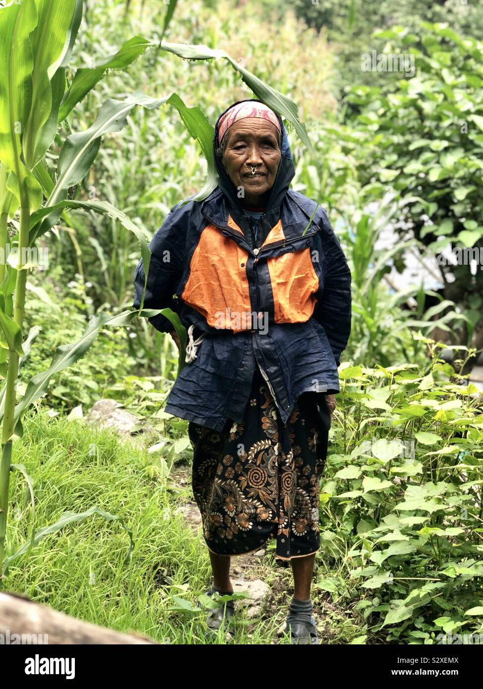 Alte nepalesische Dame auf dem Weg zur ulleri. Stockfoto