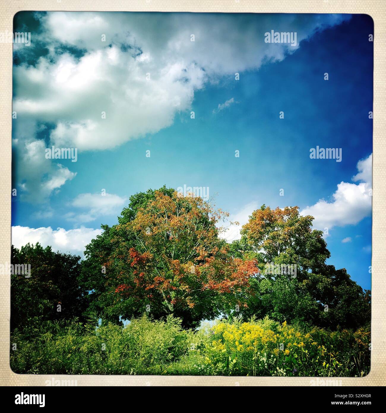 Perfekte Herbst Tag Stockfoto