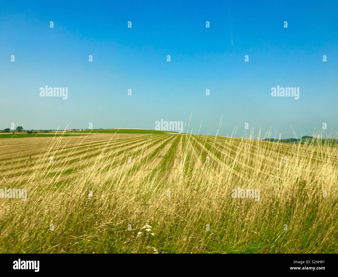 Ackerland im Süden Englands im Sommer, Großbritannien Stockfoto