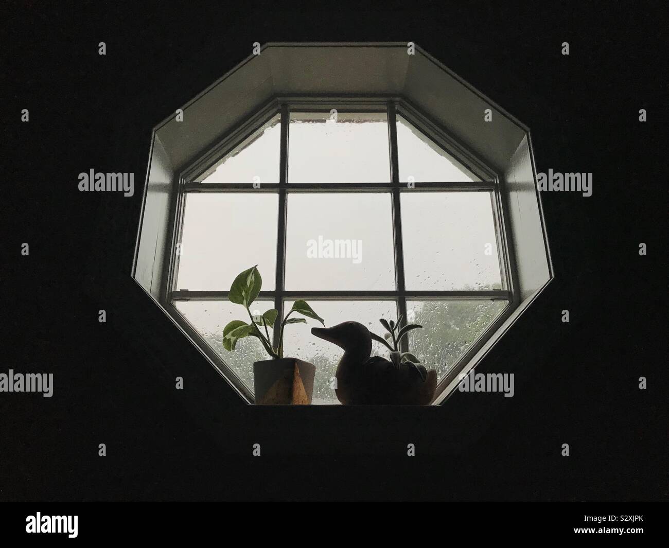 Moody, minimale Foto von zwei winzige Zimmerpflanzen sitzen in einem achteckigen Fenster an einem regnerischen Tag Stockfoto