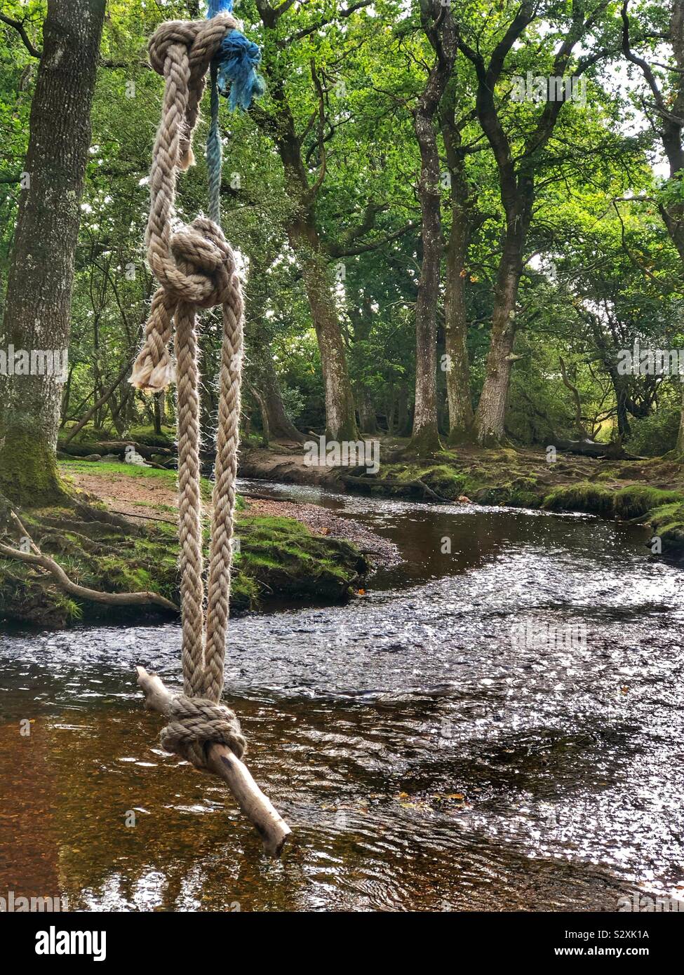 Schwingen über Ober Wasser bei Puttles Brücke im New Forest National Park, Hampshire, England - Smartphone-aufgenommenes Stockfoto