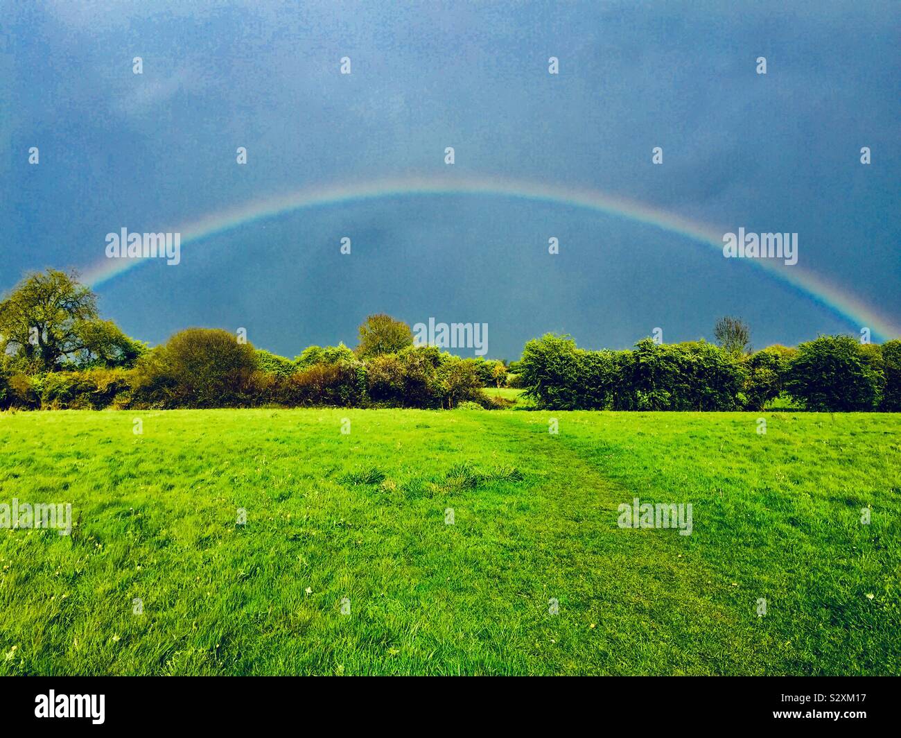Regenbogen im Feld Stockfoto