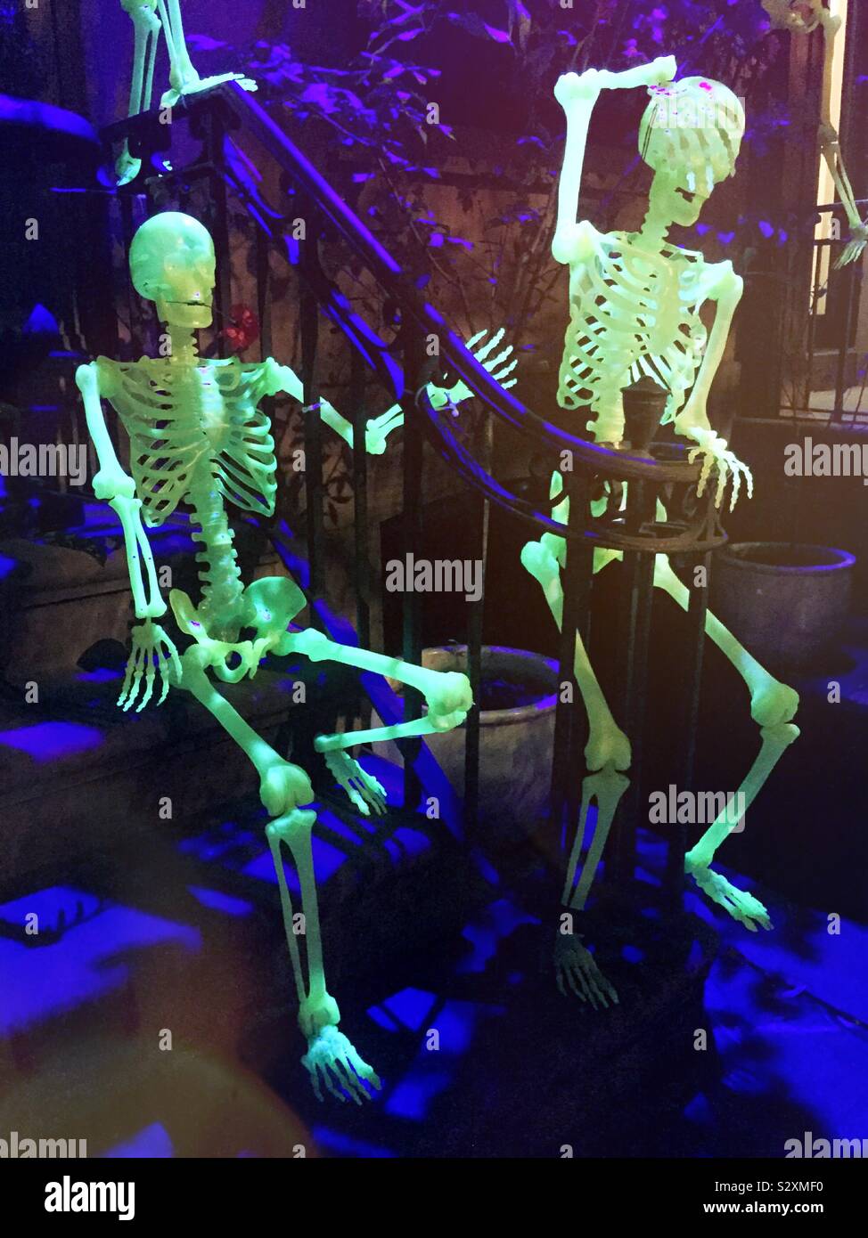 Halloween Skelett Dekoration auf einem Brownstone in Murray Hill, New York, USA - Smartphone-aufgenommenes Stockfoto
