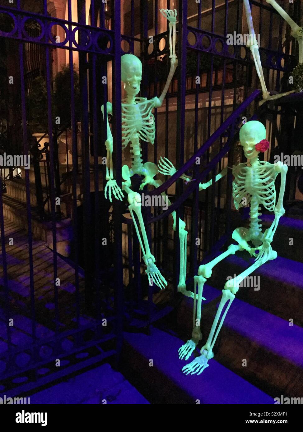 Halloween Skelett Dekoration auf einem Brownstone in Murray Hill, New York, USA - Smartphone-aufgenommenes Stockfoto
