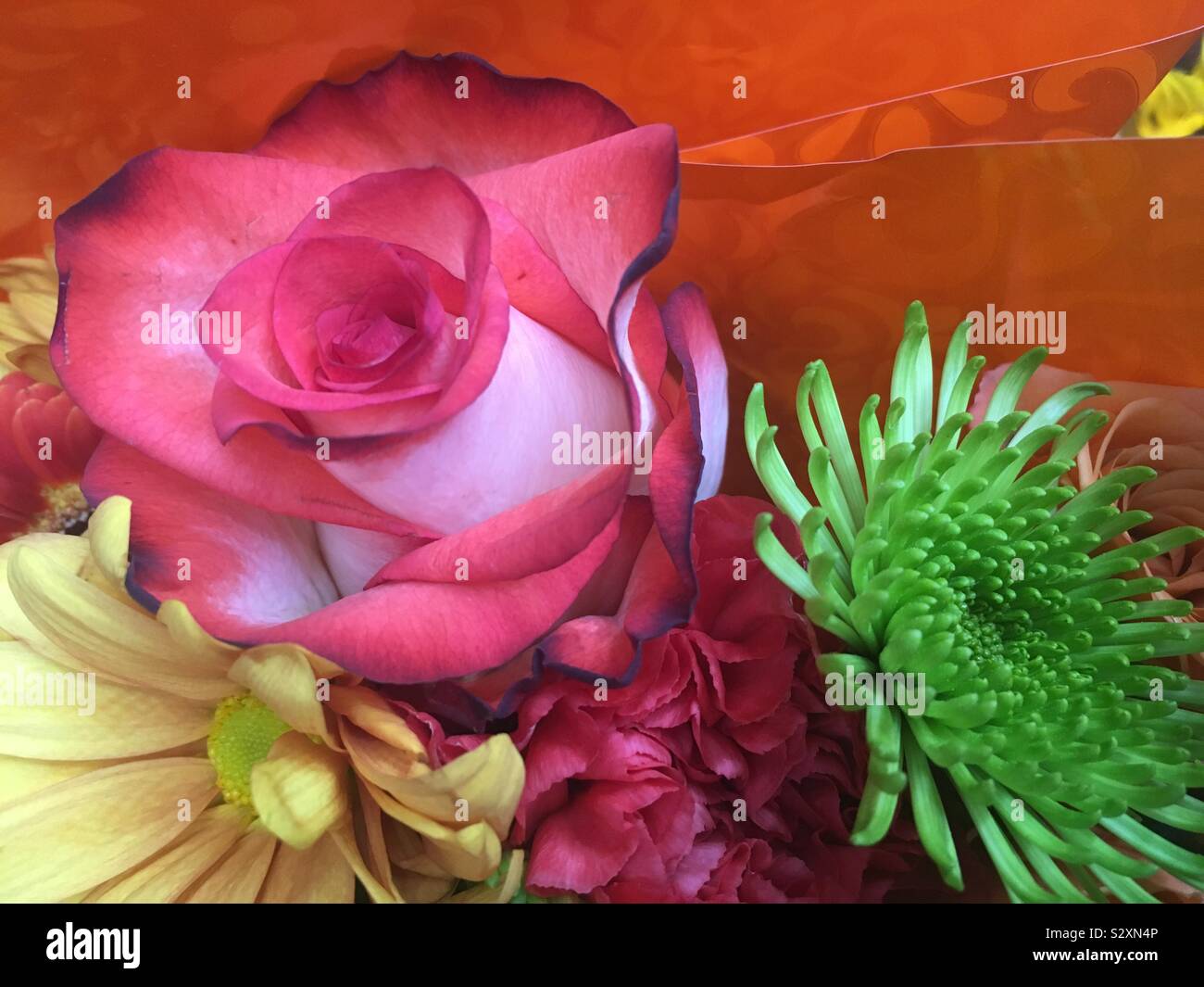 Gemischte blüten -Fotos und -Bildmaterial in hoher Auflösung – Alamy