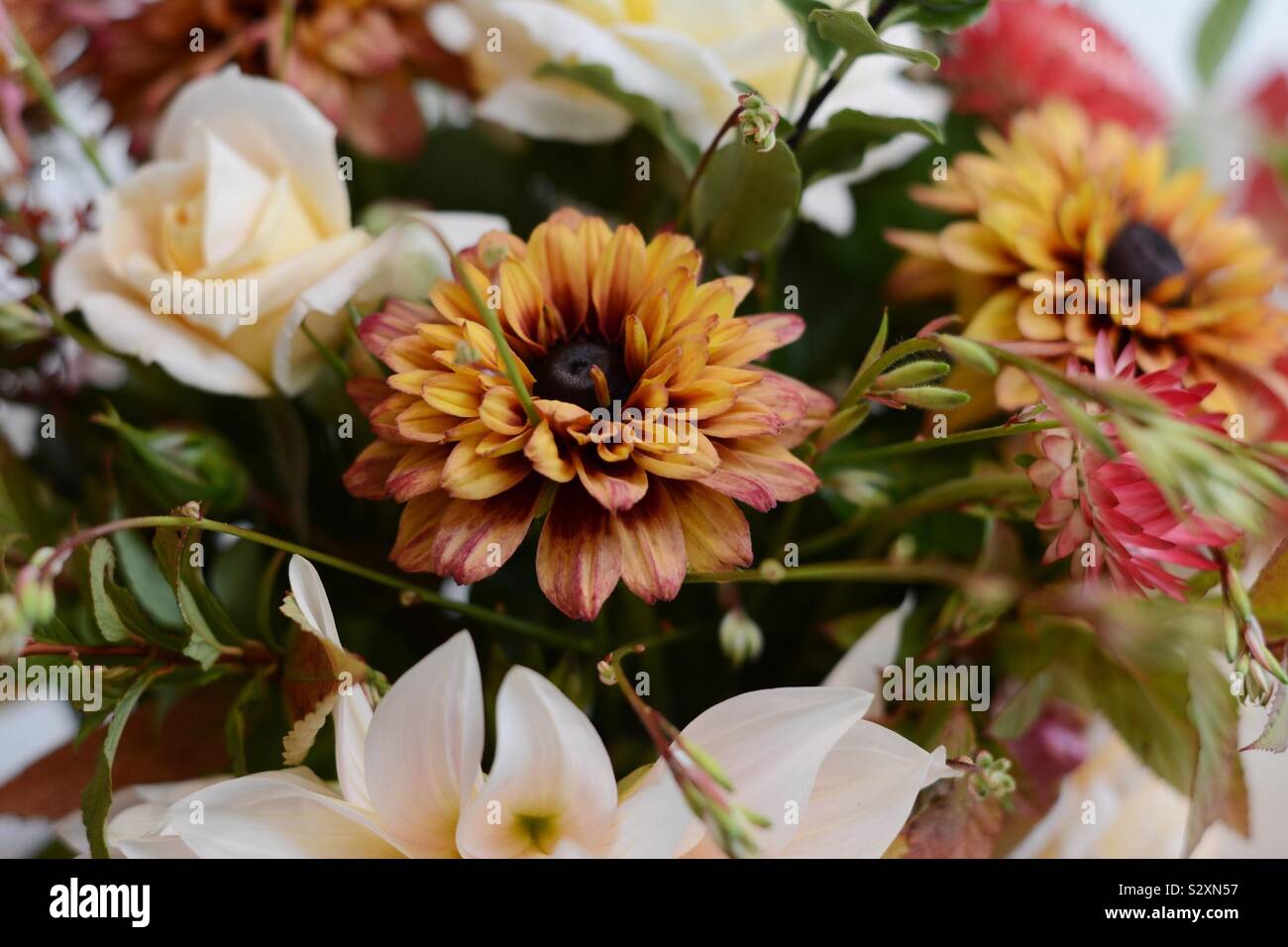 Britische Blumen Stockfoto