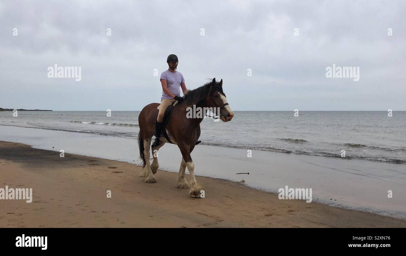 Reiten am Strand. Mann ein Pferd reiten. Stockfoto