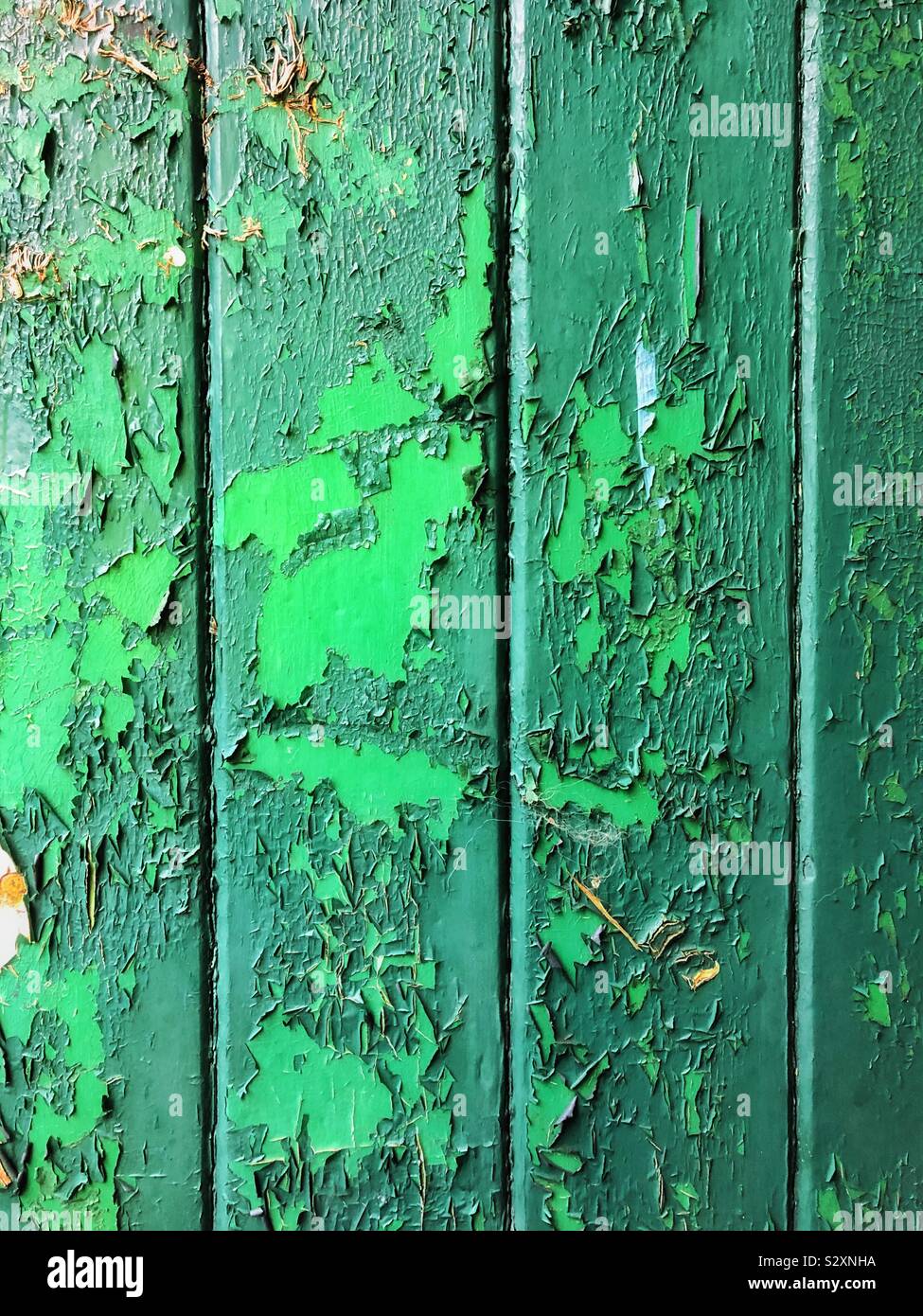 Peeling-grünen Farbe auf einer alten Holztür. Stockfoto