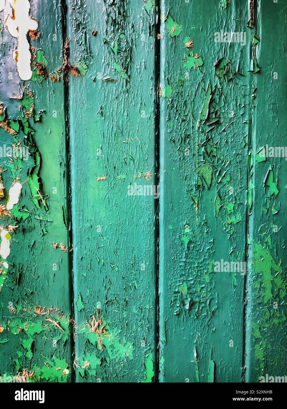 Abblätternde grüne Farbe auf eine alte hölzerne Tür Stockfoto