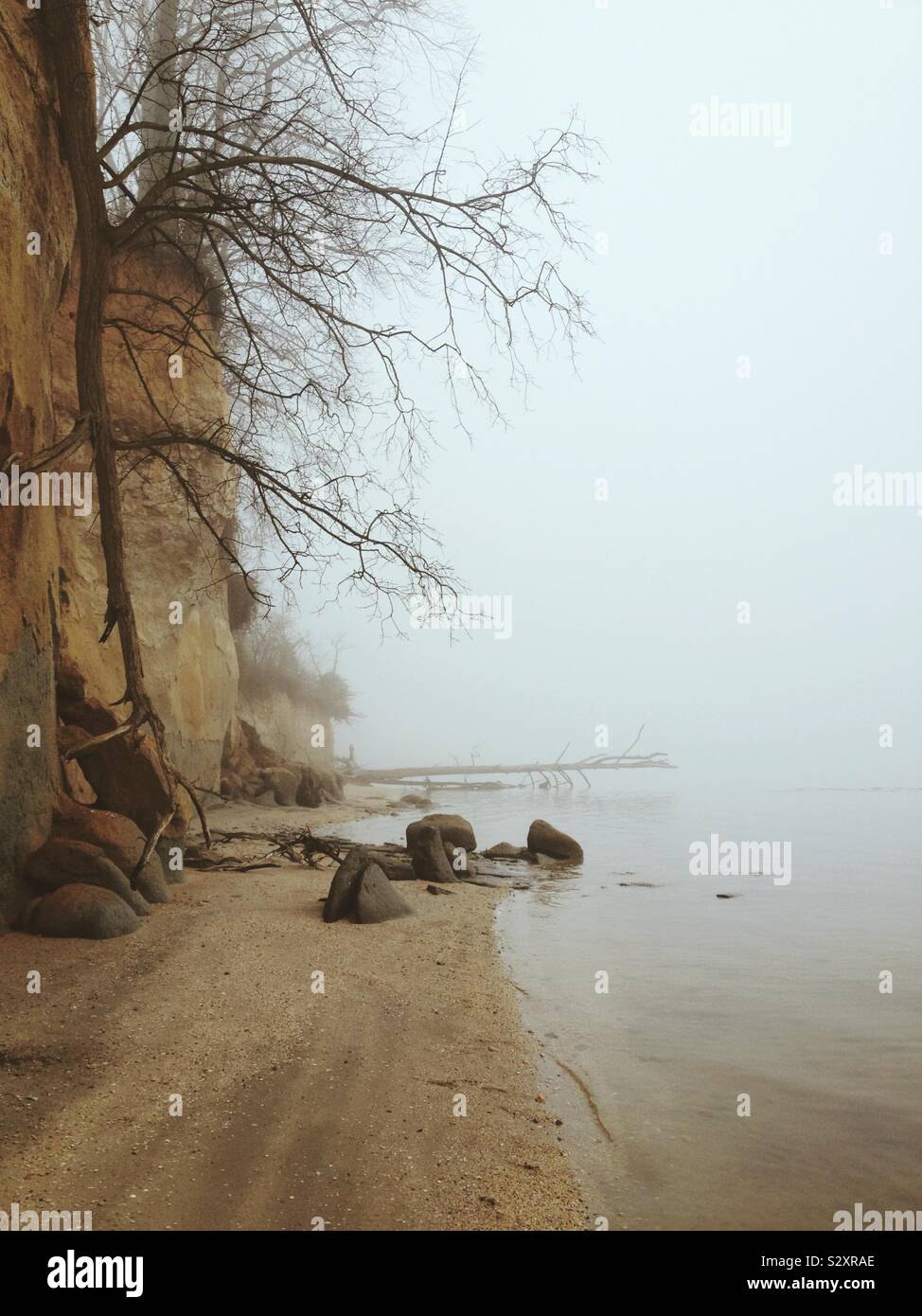 Nebeliger Morgen am Strand in Calvert County, Maryland Stockfoto