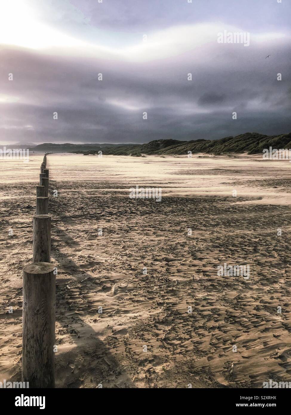 Linie im Sand Stockfoto