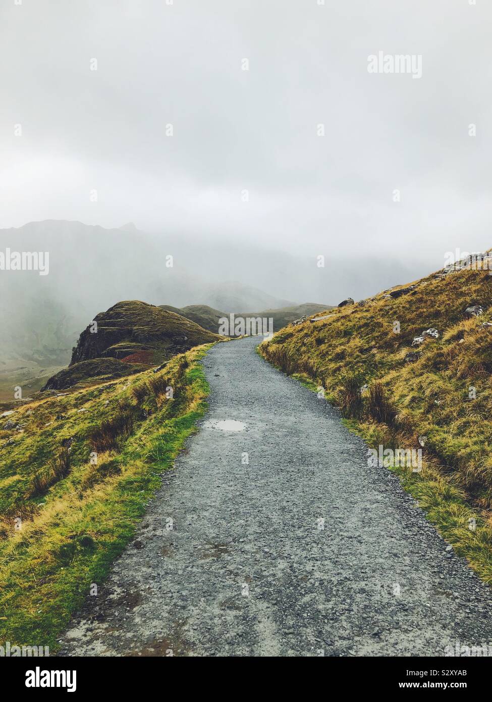 Der Weg zum Mount Snowdon mit Nebel und Gras Stockfoto