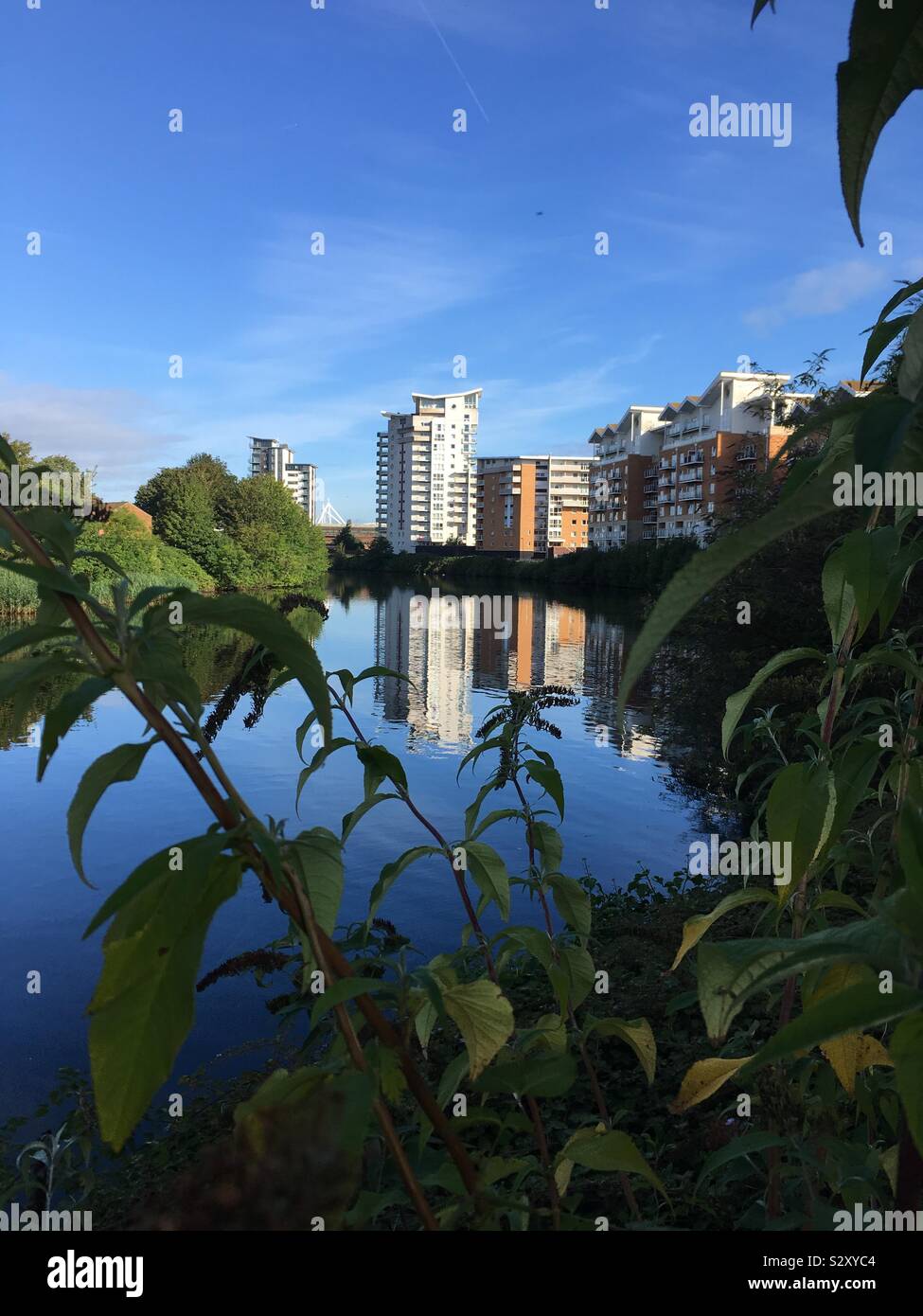 Blick auf den Fluss Taff auf einem klaren Morgen, Cardiff Stockfoto