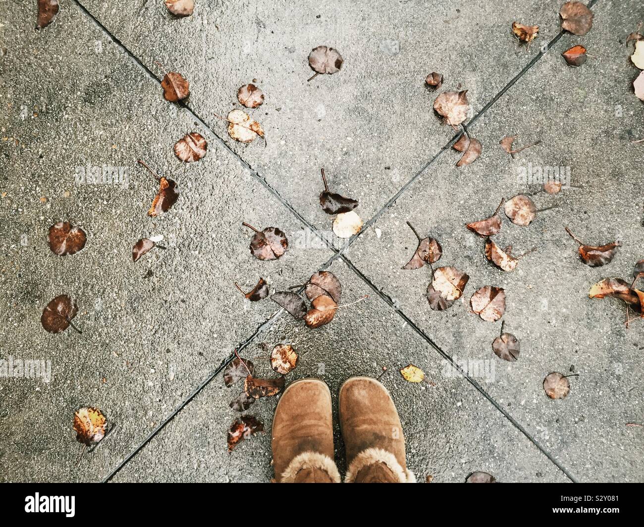 Frau, die auf einem Bürgersteig, der in den Blättern nach einem Sturz Regensturm abgedeckt Stockfoto