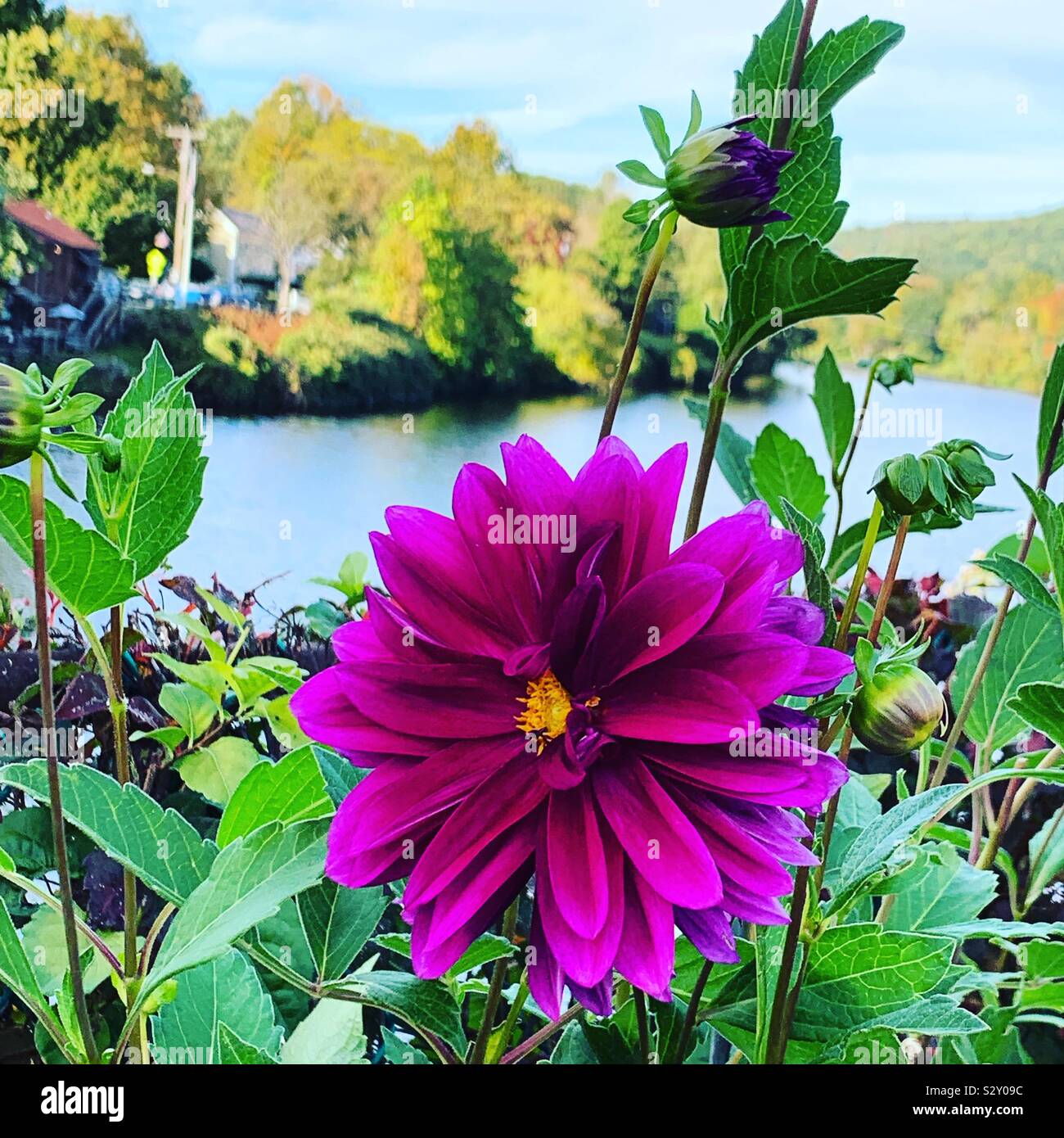 September auf der Brücke der Blumen, Shelburne Falls, Massachusetts, Vereinigte Staaten von Amerika Stockfoto