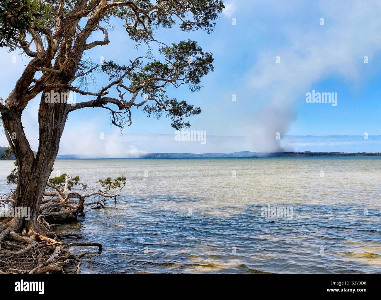 Bushfire Über/über den See Stockfoto