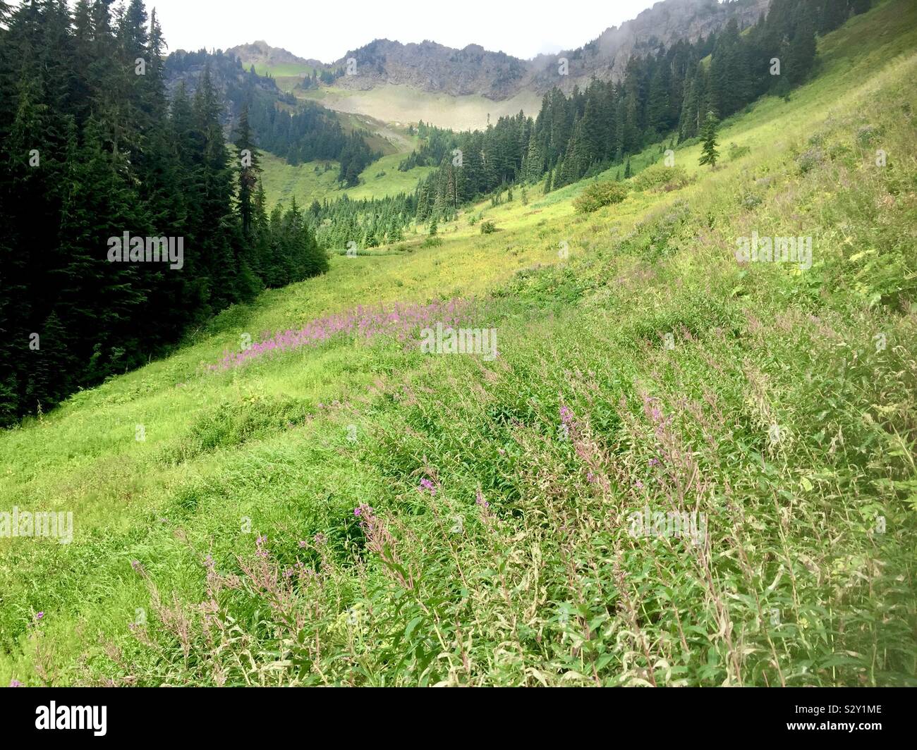 Alpinen Land im Norden Kaskaden im frühen Herbst. Mount Baker Snoqualmie National Forest, Cascade Mountain Range, Washington State, USA Stockfoto