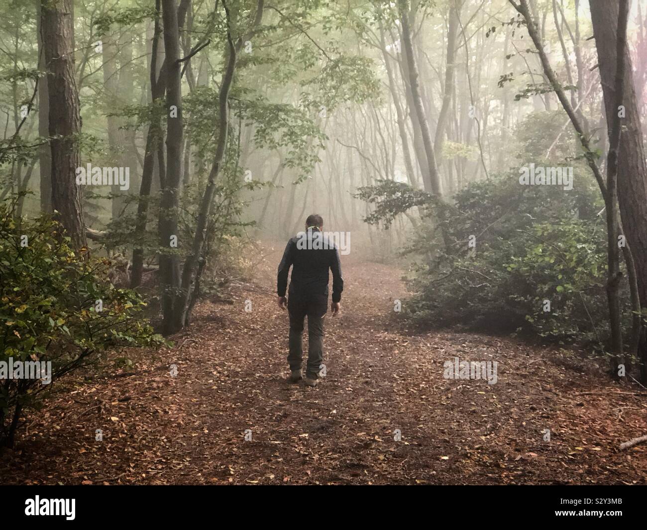 Ein männlicher Wanderer in einer nebligen Wald Stockfoto