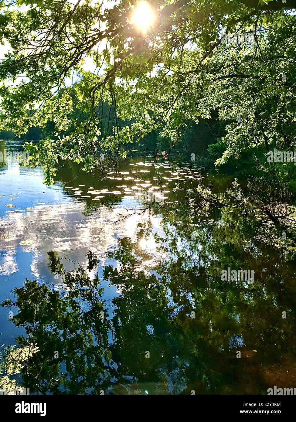 Sommer sonnigen Morgen auf einen ruhigen Fluss - Smartphone-aufgenommenes Stockfoto