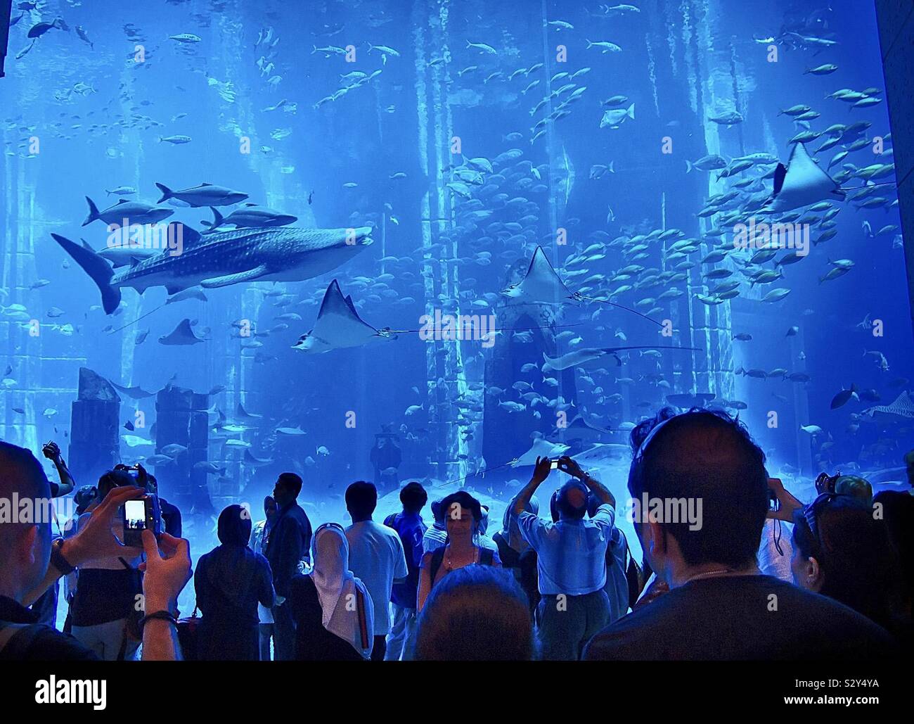 Aquarium in Palm Hotel Dubai - Smartphone-aufgenommenes Stockfoto