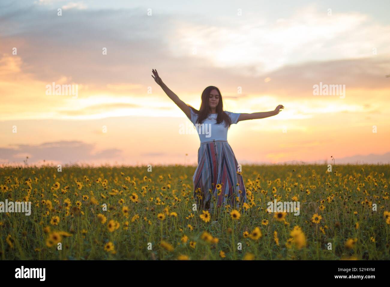 Glückliches Mädchen in einem sonnenblumenfeld Stockfoto