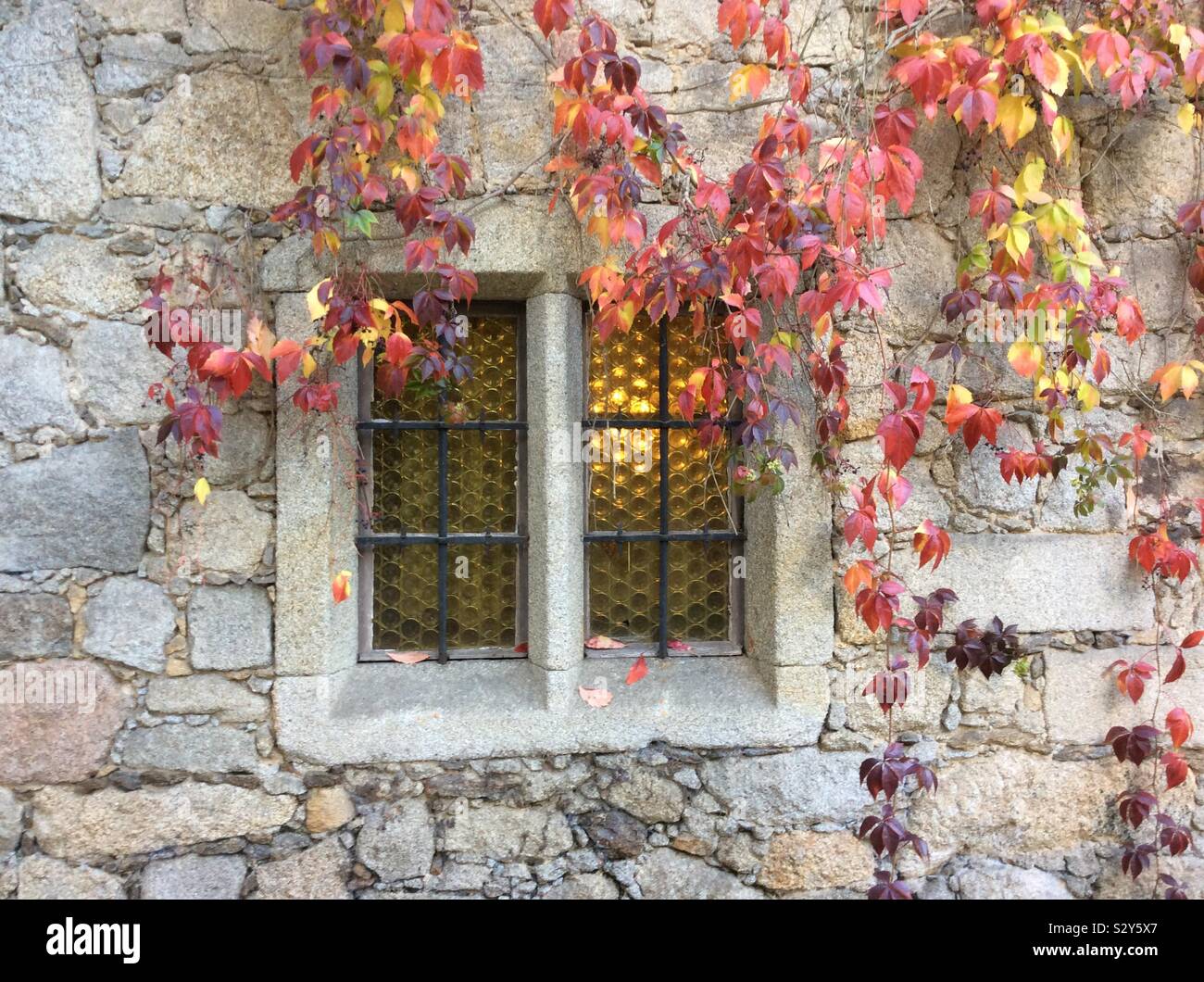 Fenster der Ei Castle in der Nähe von bernried im Herbst, Landkreis Deggendorf, Bayern, Deutschland, Europa Stockfoto