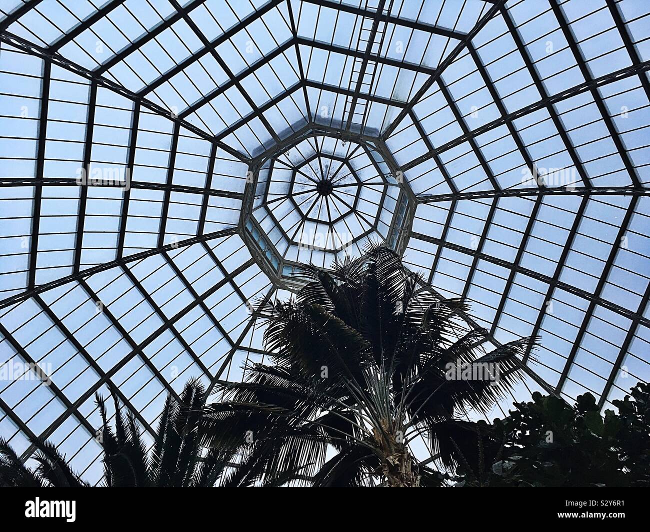 Das Palm House Liverpool Stockfoto