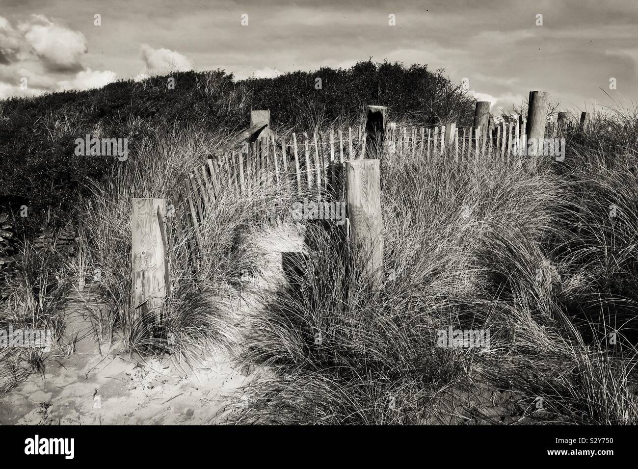 Strand und Pfad durch das Marramgras in der Nähe von South Beach, Troon, Ayrshire, Schottland, Großbritannien Stockfoto