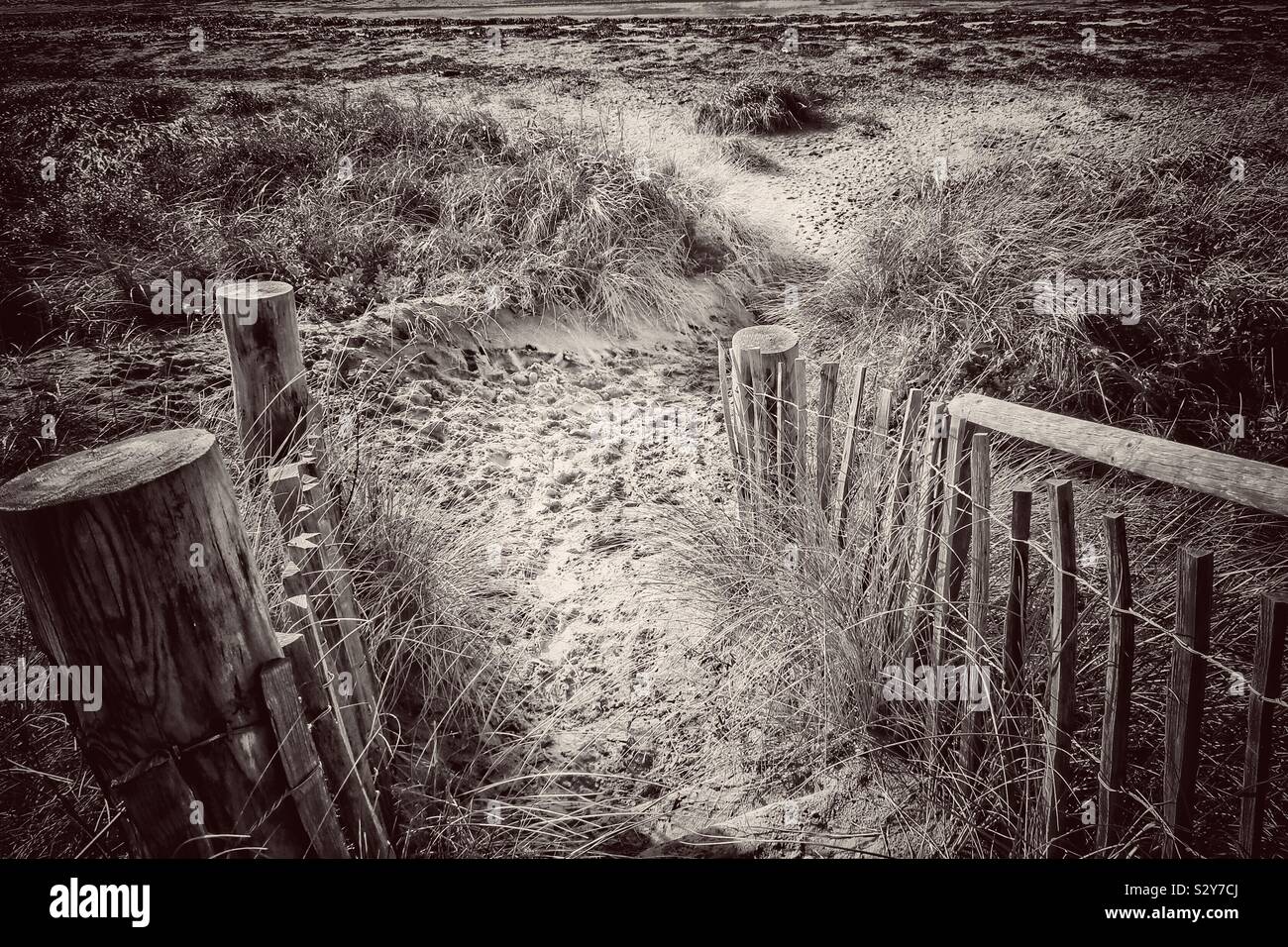 Weg zum Strand Stockfoto