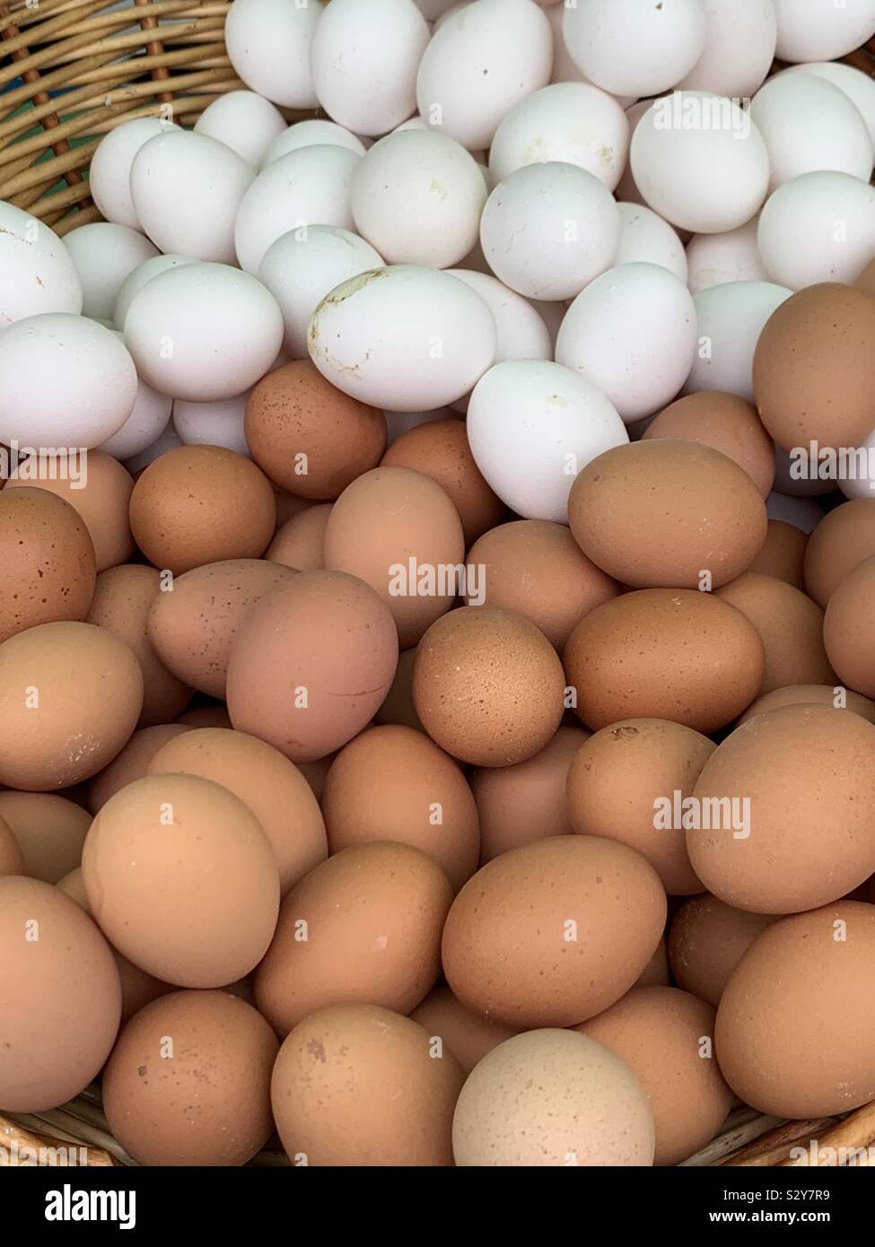 Organische weiße andbrown Eier - Smartphone-aufgenommenes Stockfoto