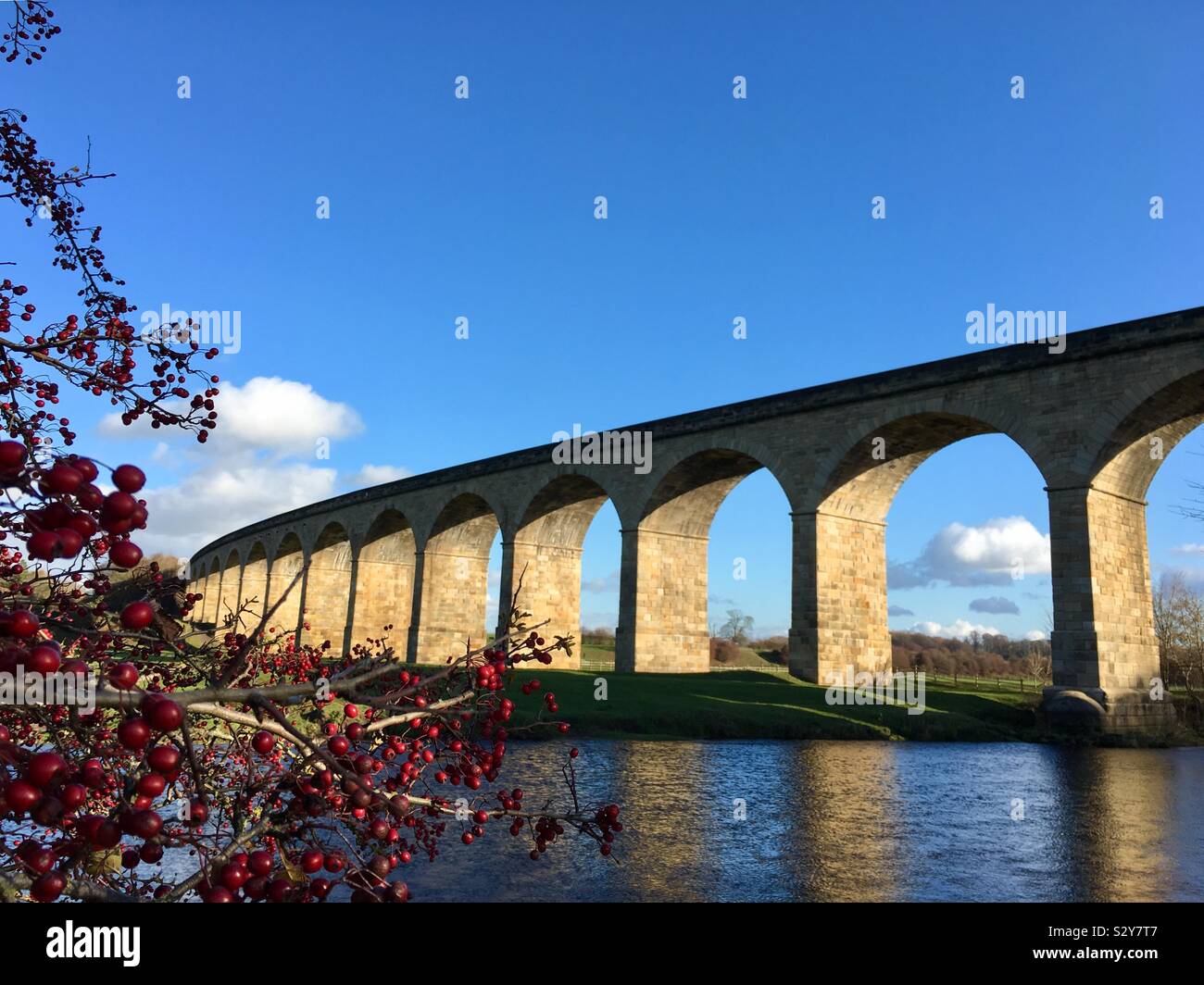Arthington Viadukt, Yorkshire, Vereinigtes Königreich Stockfoto