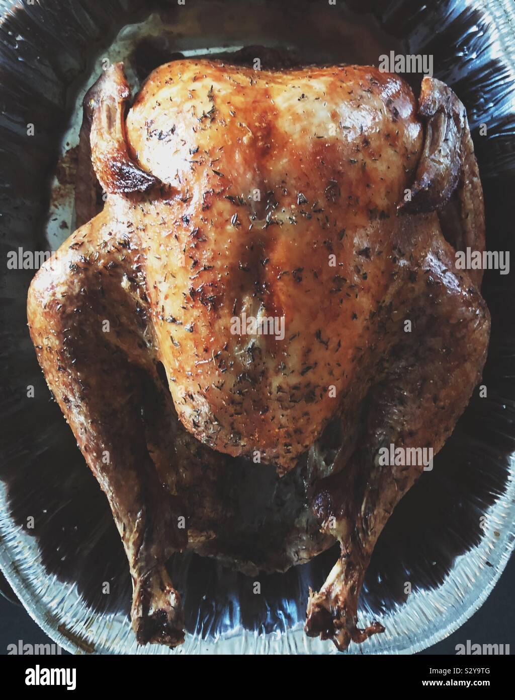 Flach auf gewürzt, gebraten Thanksgiving Truthahn in Aluminium Bräter Stockfoto