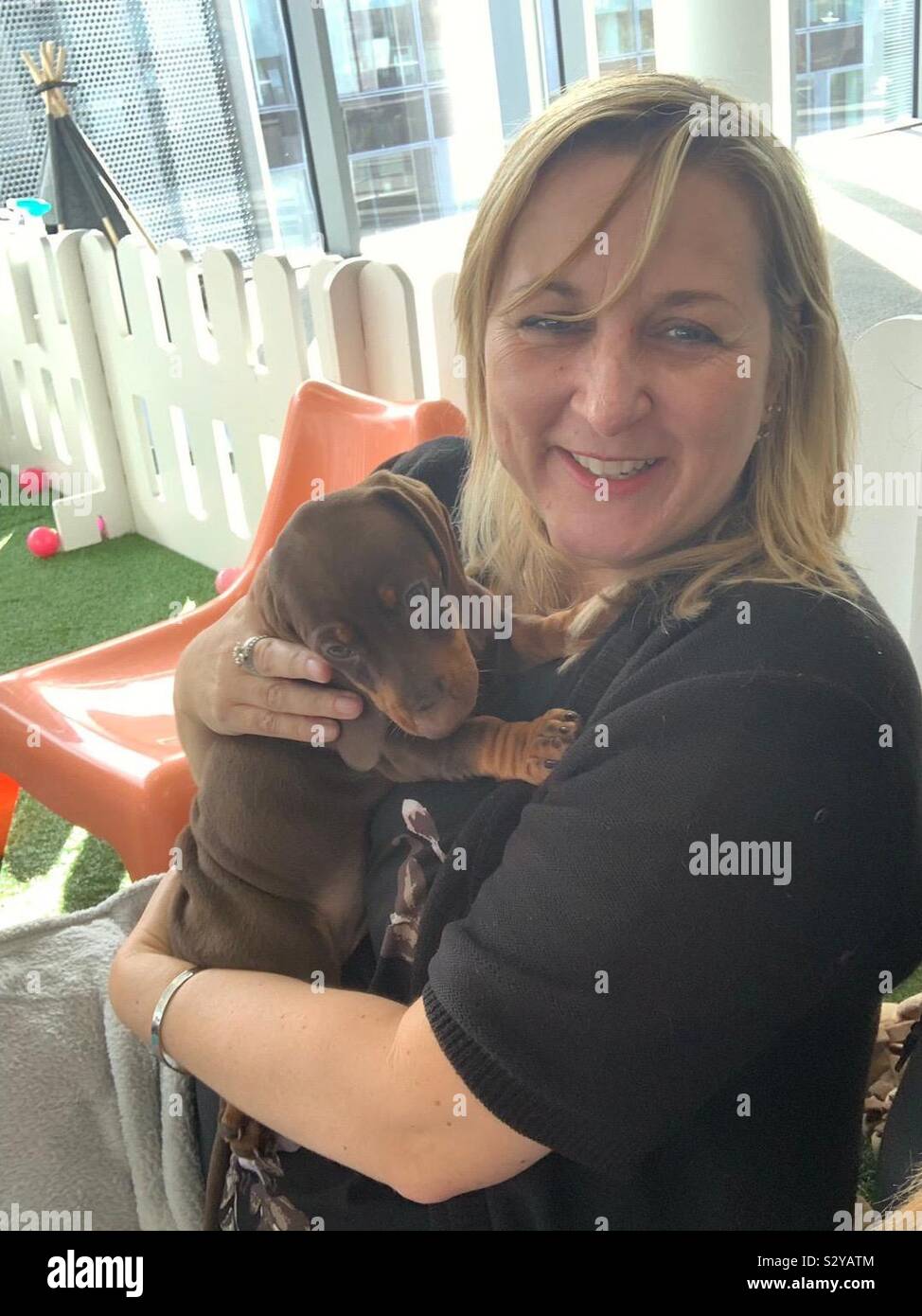 Puppy love - Smartphone-aufgenommenes Stockfoto