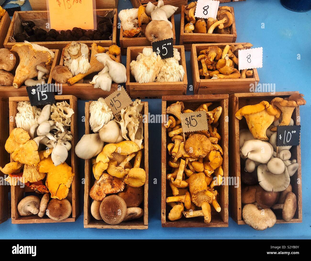 Hat Pilz bei der Bauernmarkt in Tacoma, WA Stockfoto