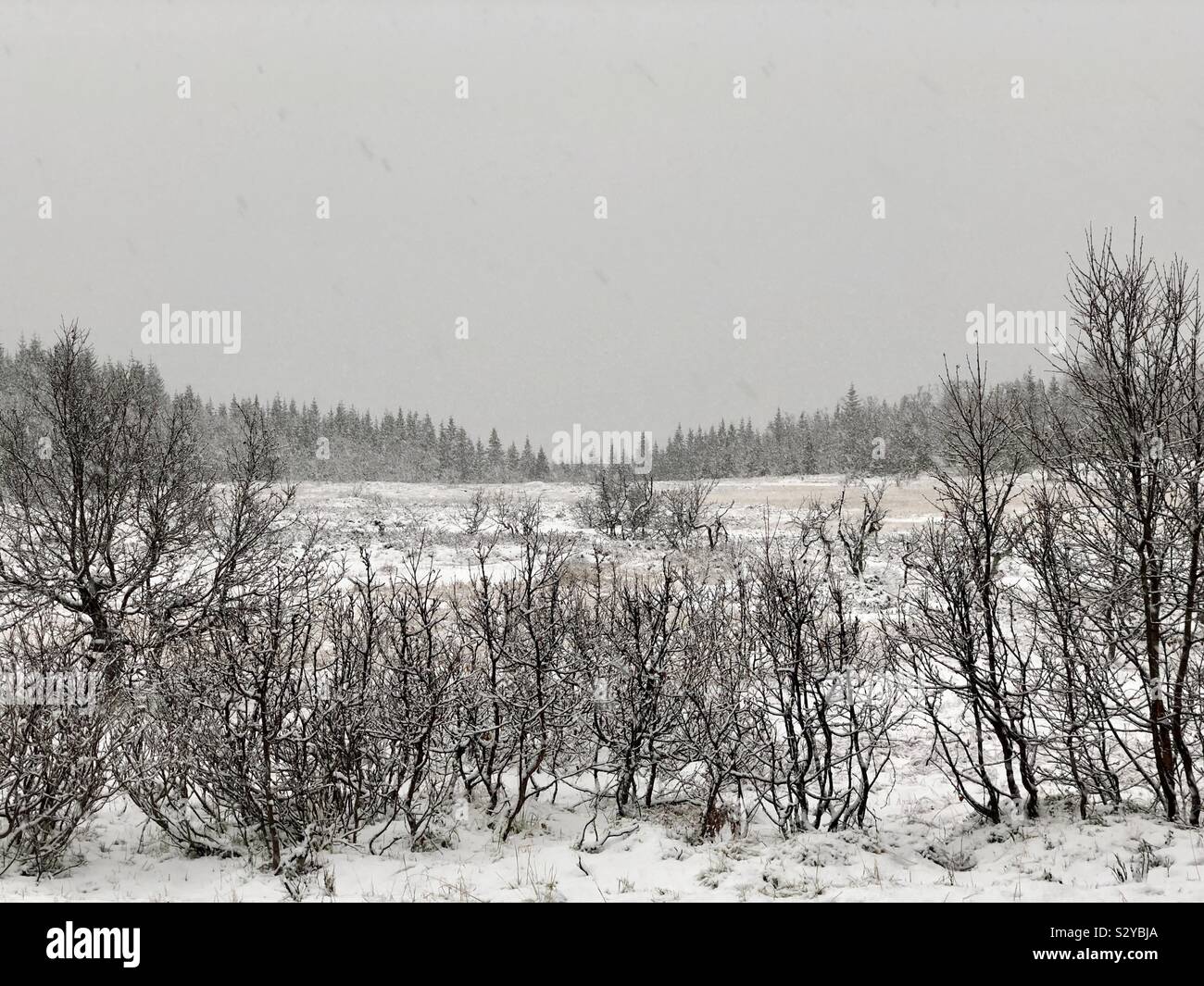 Norwegische Winterlandschaft Stockfoto