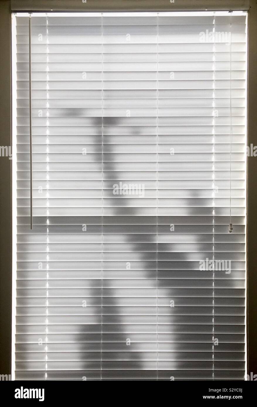 Silhouette, Schatten der Fensterputzer arbeiten, durch Jalousien gesehen Stockfoto