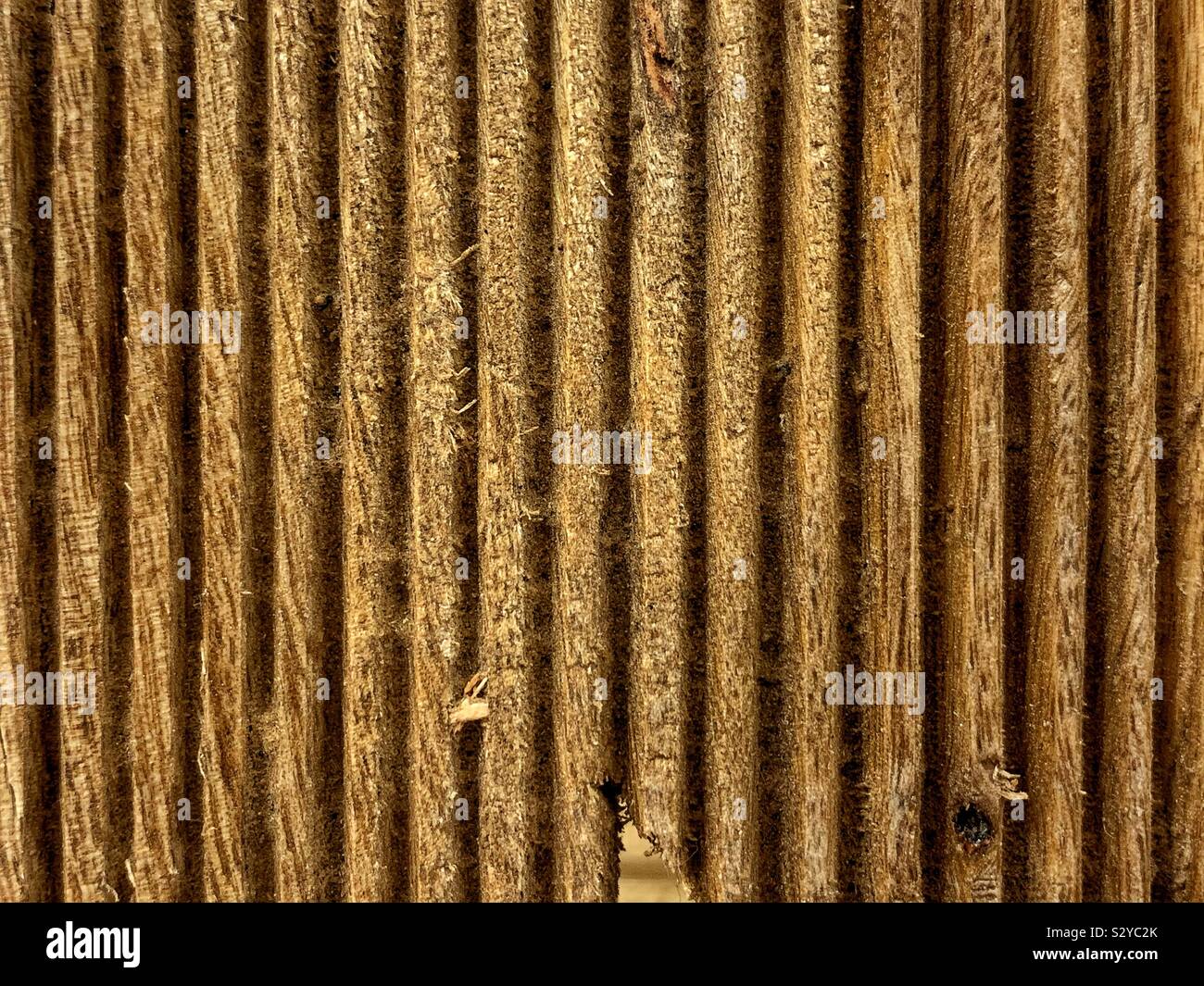 Frische schöne Textur in einem rohen Holz plank schneiden. - Smartphone-aufgenommenes Stockfoto