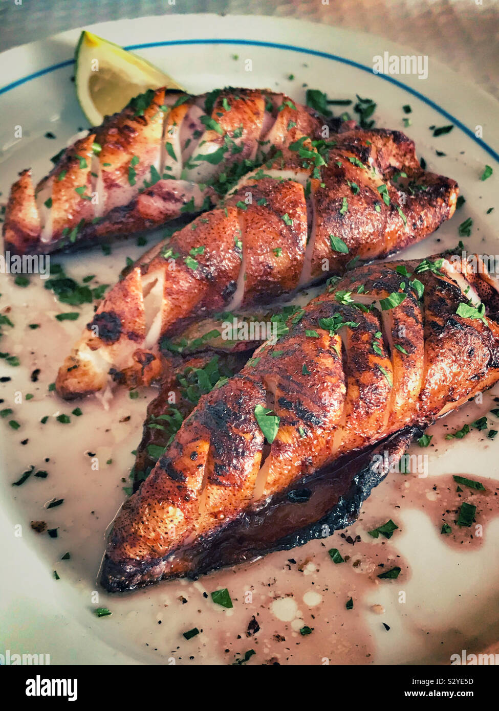 Eine schöne Platte von squid in einem portugiesischen Restaurant Stockfoto