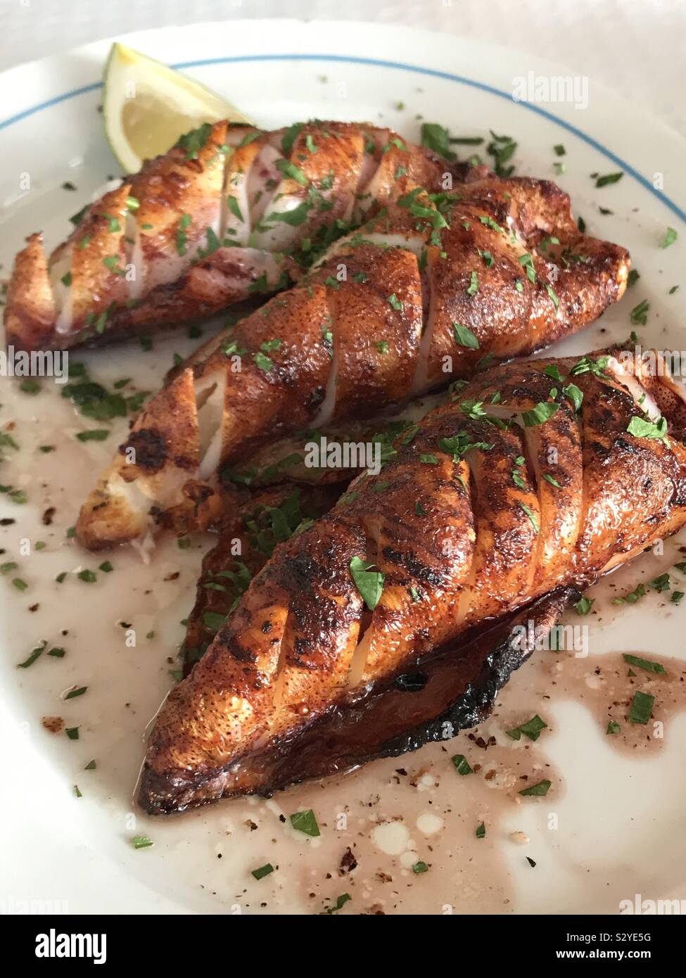 Frisch gekochten Tintenfisch in einem portugiesischen Restaurant - Smartphone-aufgenommenes Stockfoto