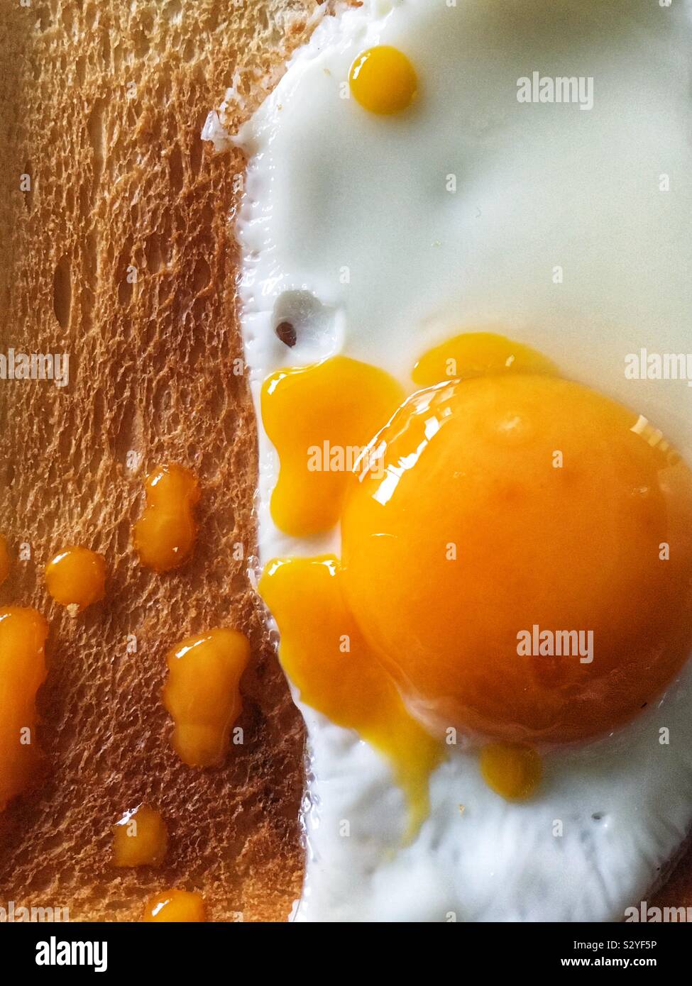 Sunny Side up Spiegelei auf Toast Stockfoto